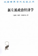 新左派政治经济学 一个局外人的看法