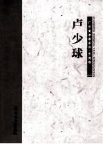 广东美术家系列 东莞卷 卢少球