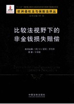 比较法视野下的非金钱损失赔偿