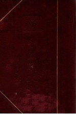 中国文化史丛书 中国骈文史