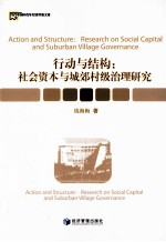 行动与结构 社会资本与城郊村级治理研究