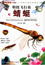 小昆虫大探秘 特技飞行员 蜻蜓