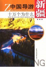 中国导游十万个为什么 新疆