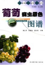 葡萄病虫原色图谱