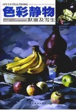 色彩静物默画及写生