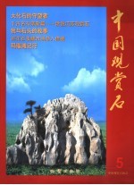中国观赏石 5