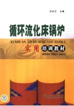 循环流化床锅炉 实用培训教材
