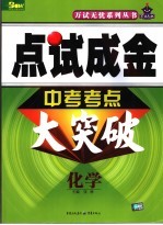 点试成金中考考点大突破 化学