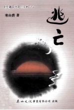 《狂飙年代》三部曲之二 逃亡