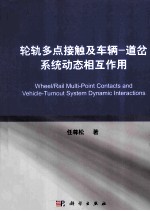 轮轨多点接触及车辆 道岔动态相互作用