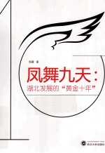 凤舞九天 湖北发展的“黄金十年”