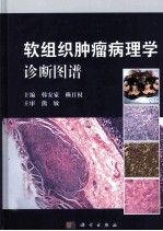 软组织肿瘤病理学诊断图谱