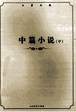 王蒙文集 中篇小说 中