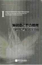 知识资产整合管理 知识资产发掘和保护指南