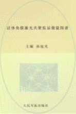 活体角膜激光扫描共聚焦显微镜图谱