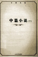 王蒙文集 中篇小说 下