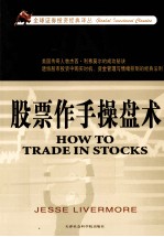 全球证券投资经典译丛 股票作手操盘术