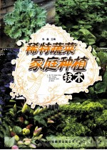 稀特蔬菜家庭种植技术