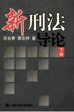 新刑法导论 下
