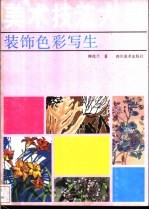 美术技法大全 装饰色彩写生