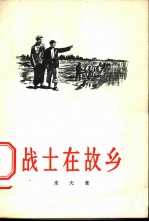 战士在故乡 独幕剧