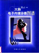大肠电子内镜诊断图谱