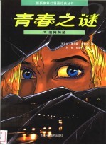 青春之谜 2 遮掩的脸