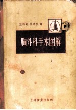 胸外科手术图解