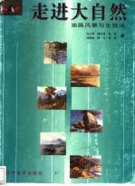 走进大自然 油画风景写生技法