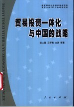 贸易投资一体化与中国的战略