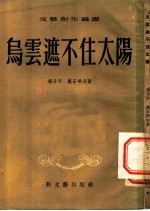 乌云遮不住的太阳