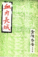 血肉长城 金陵春梦 第4集