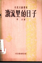 激流里的日子