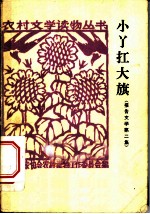 小丫扛大旗 第2集 报告文学