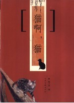 猫啊,猫