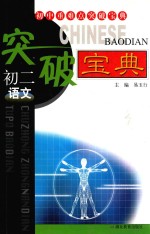 初中重难点突破宝典 初中重难点突破宝典 初二语文