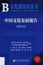 中国文化发展报告 2014