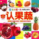 宝宝的第一本大图认知书 认果蔬 专为0-3岁宝宝设计