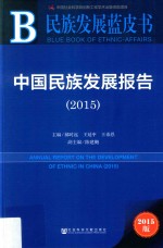 中国民族发展报告 2015 2015版