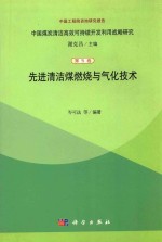 先进清洁煤燃烧与气化技术