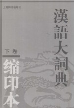 汉语大词典 下 缩印本
