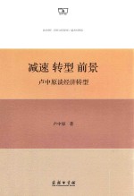 减速 转型 前景 卢中原谈经济转型