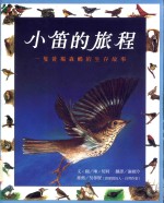 小笛的旅程 一只黄褐森鸫的生存故事