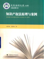 知识产权法原理与案例
