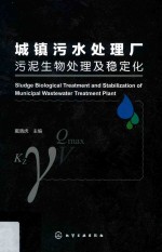 城镇污水处理厂污泥生物处理及稳定化