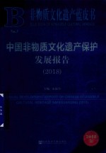 中国非物质文化遗产保护发展报告 2018版