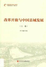 改革开放与中国县域发展 上