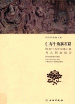仁寿牛角寨石窟 四川仁寿牛角寨石窟考古调查报告