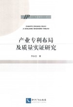 产业专利布局及质量实证研究