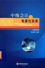 中级会计电算化实务